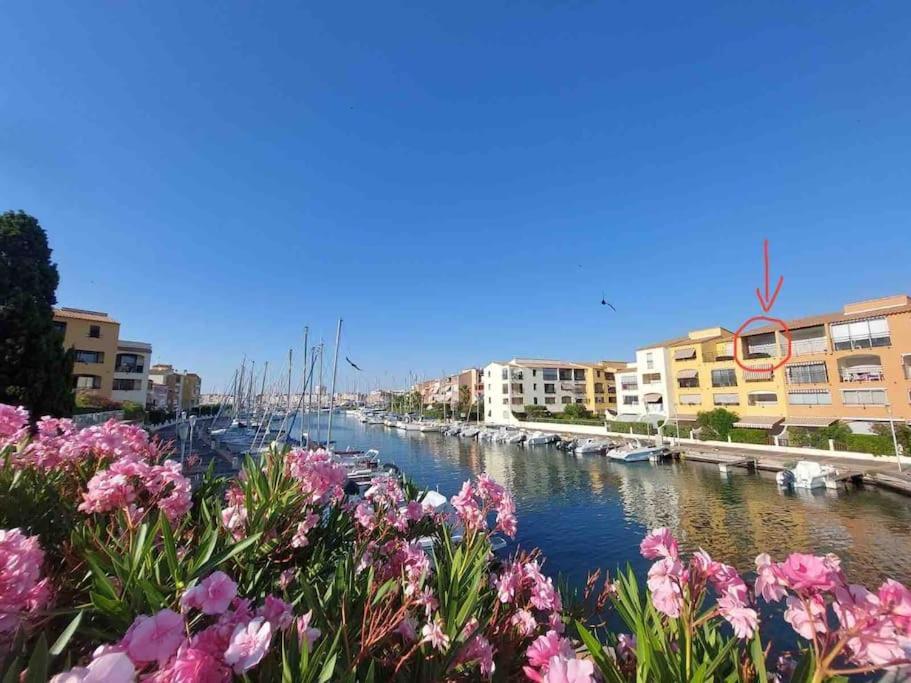 Cap'Nomad Studio Cote Mer - Balcon - Piscine - Parking Agde Ngoại thất bức ảnh